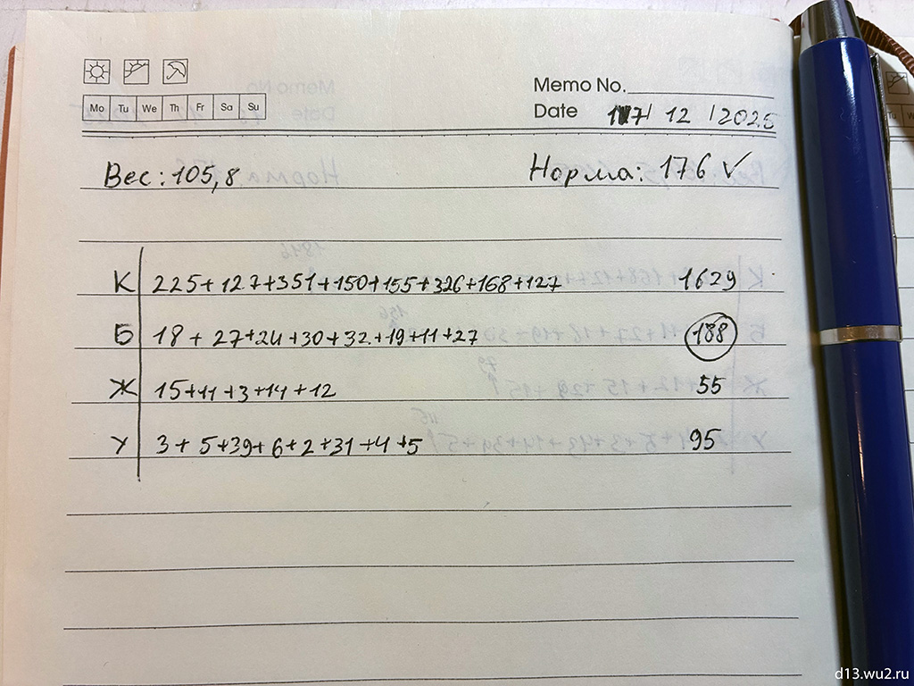 КБЖУ за день